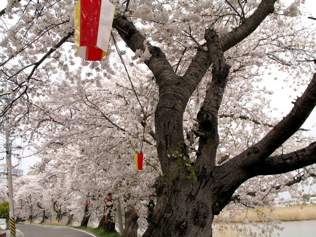 ホテル 割烹の宿湖畔 新潟市 エクステリア 写真